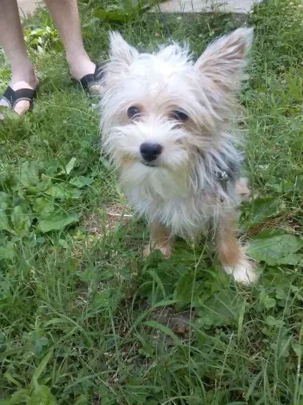 Apollo Tucker Coleman