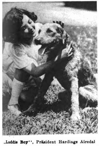 Laddie Boy XIII