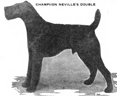 Neville's Double (268096 Vol XXXVI)