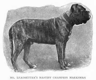 Marksman [Mr. Leadbetter's]
