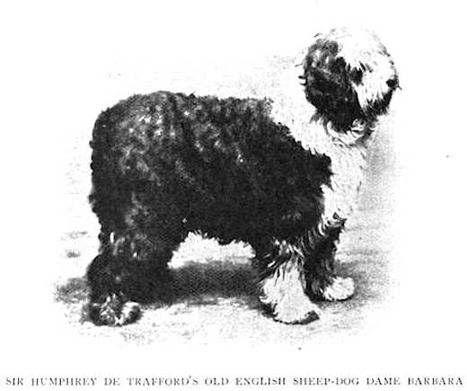 Dame Barbara [Sir Humphrey de Trafford's]