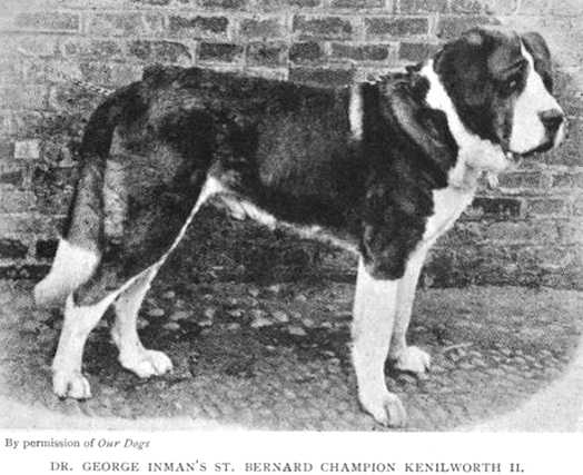 Kenilworth II (Dr. George Inman's)