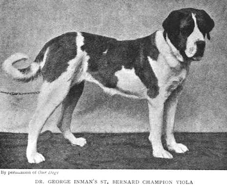 Viola (Dr. George Inman's)