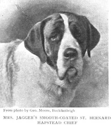 Hapstead Chief