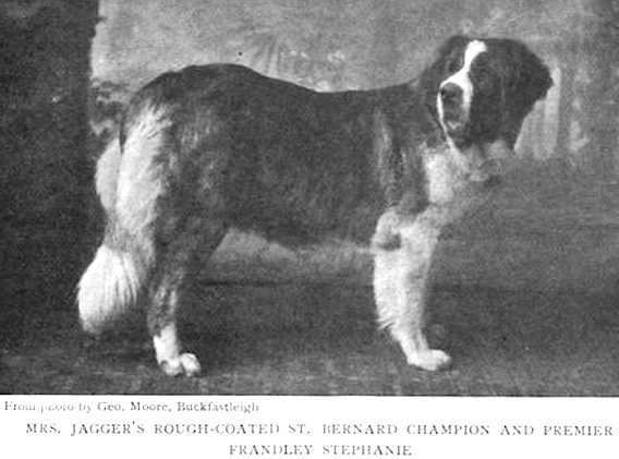 Frandley Stephanie