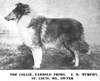 Parbold Primo