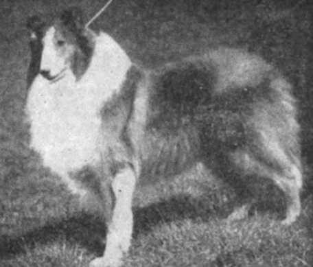 Laund Limit (1912) AKC 217234