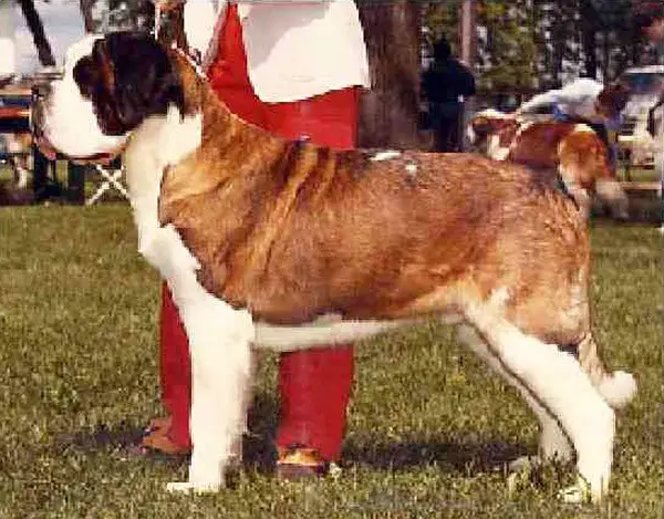 Opdyke's Rascal