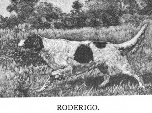 Roderigo (003514 Vol. III)