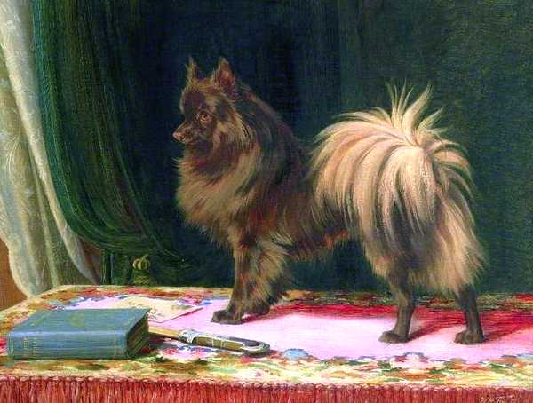 Prairie Prince (1848-1899) [William Henry Trood's]