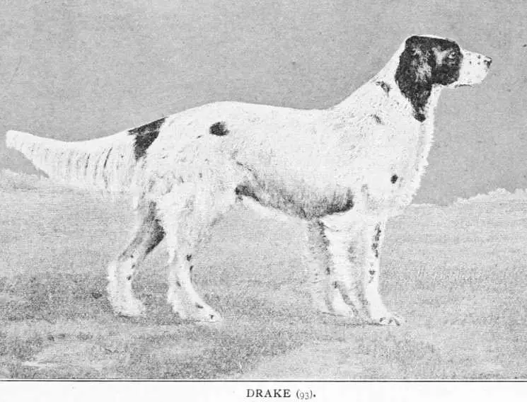 Drake (93 Vol I)