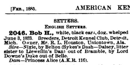 Bob H (1883)