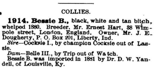 Bessie B (1880) AKR 001914
