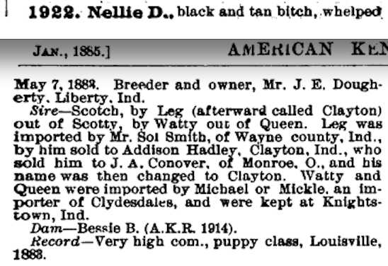 Nellie D (1883) 001922