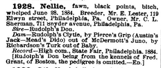 Nellie (1884) AKR 001928