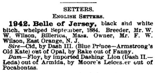 Belle of Jersey