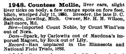 Countes Molly (001948)