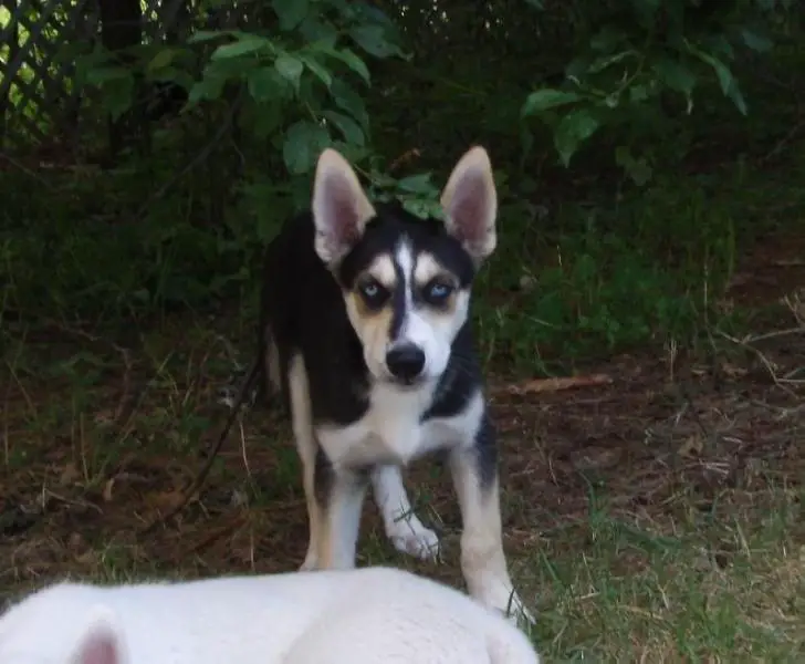 Sam