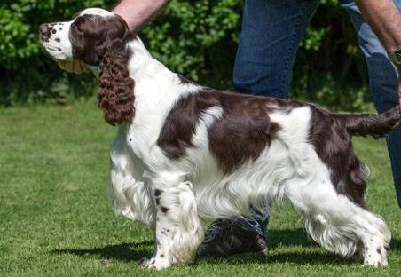 Mompesson Winchester