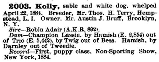 Kolly (1884) AKR 002003
