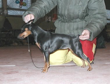 Slavjanka Воginja