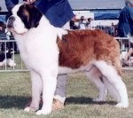 Revilo's Quincy