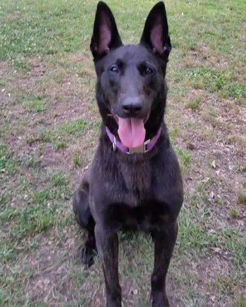 Zoey