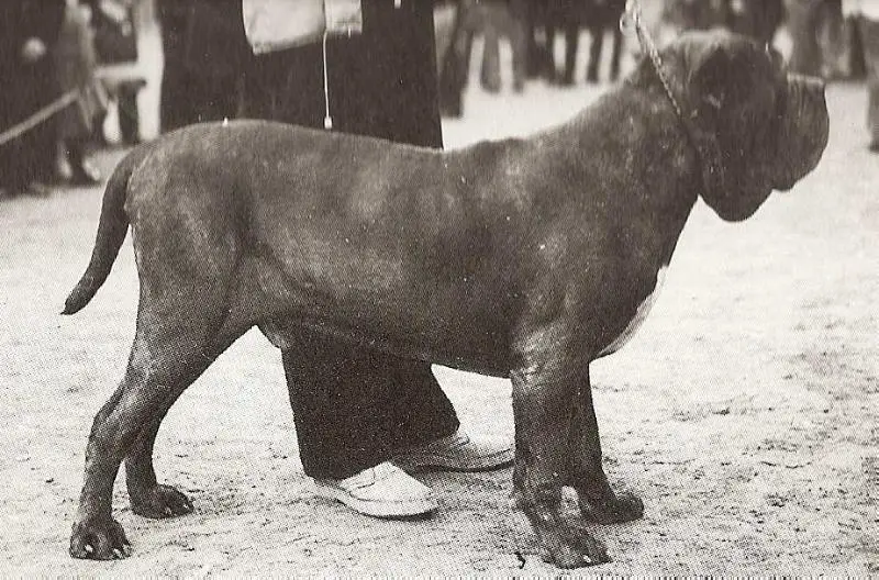 Geronimo dei Novesoldi