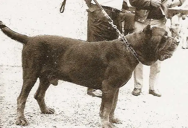 Naro di Ponzano