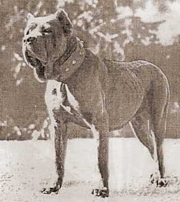 Inca di Ponzano