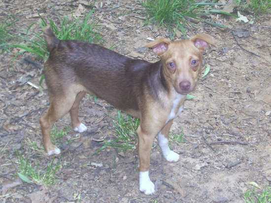 Roscoe Thomason