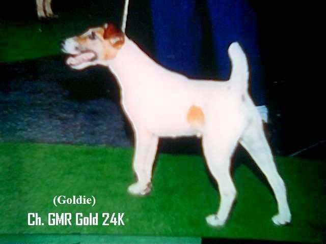 GMR Gold 24K
