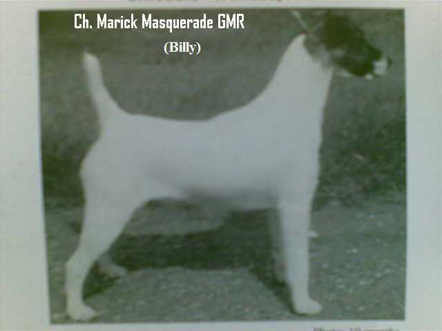 Marick Masquerade GMR