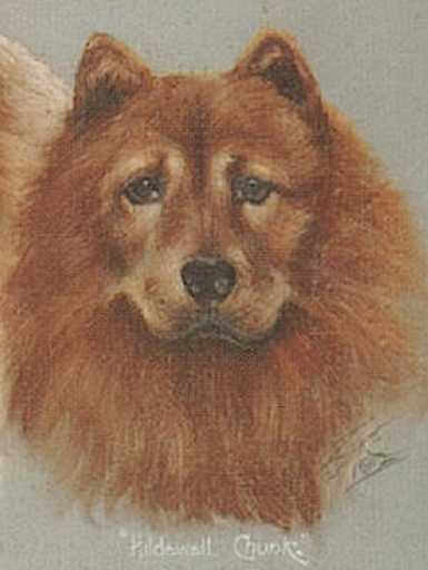 HILDEWELL CHUNК