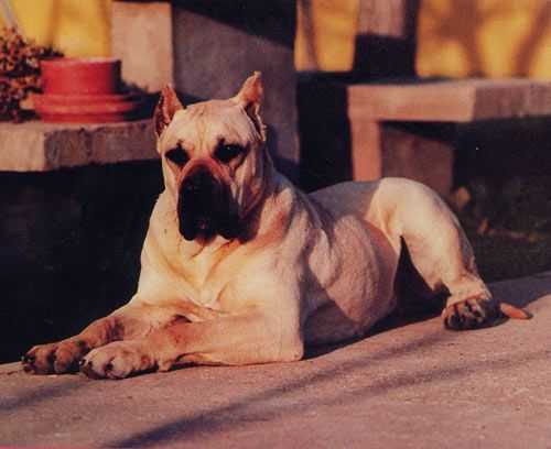 Ermigua de Haridian