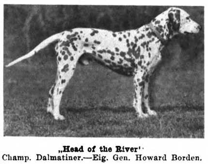 Head of The River (c.1922)
