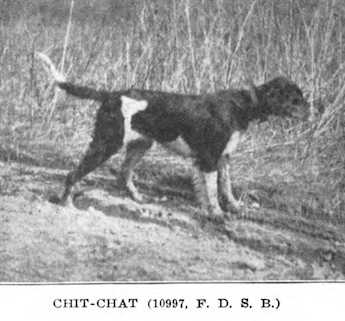 Chit-Chat (FDSB 010997)