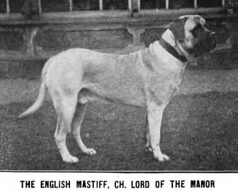 Lord of the Manor (c.1916)