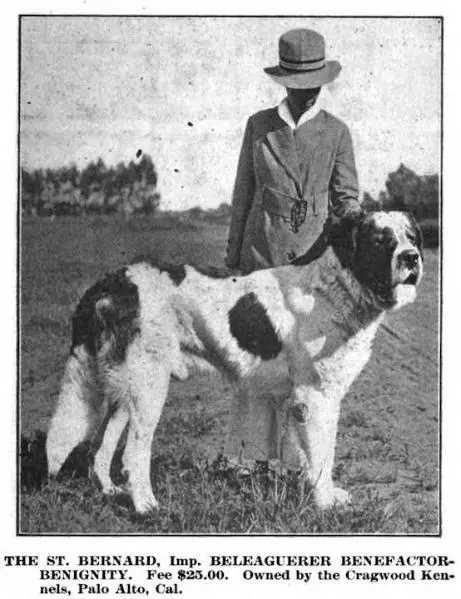 Beleaguerer Benefactor