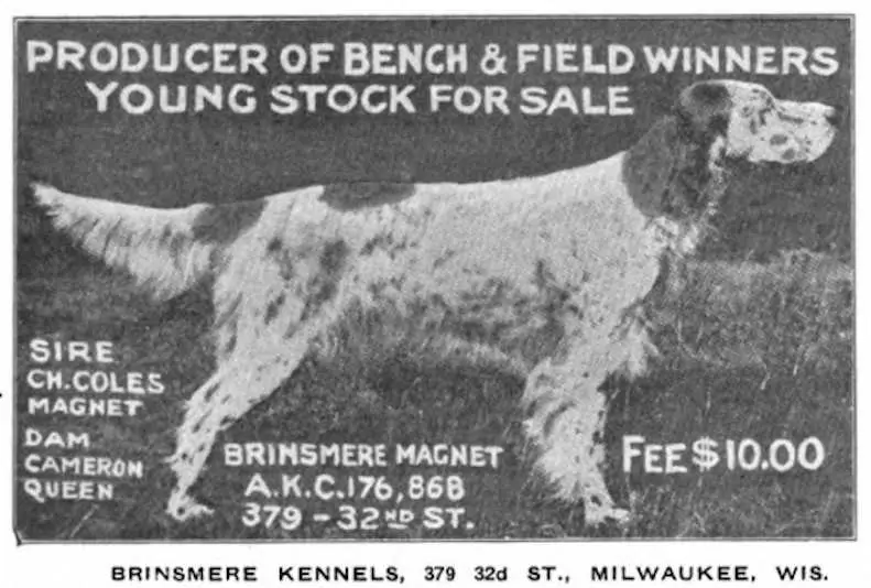 Brinsmere Magnet