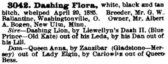 Dashing Flora