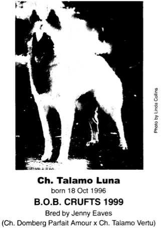 Talamo Luna