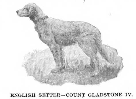 Count Gladstone IV