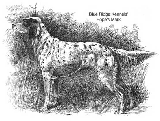 Blue Ridge Kennels' Hope's Mark (c.1892)