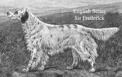 Sir Frederick (c.1891)