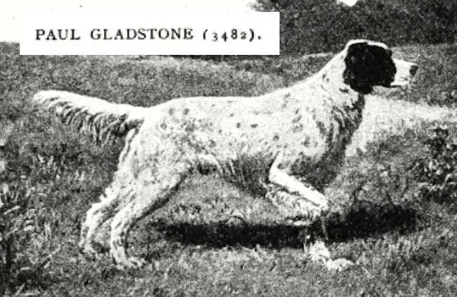 Paul Gladstone (003482)