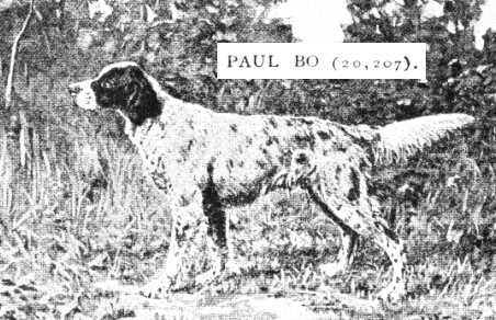 Paul Bo (020207)