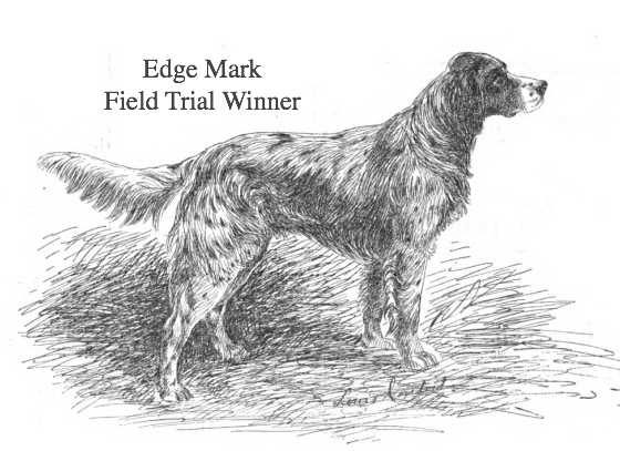 Edge Mark (c.1891)