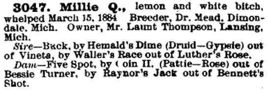 Millie Q (1884)