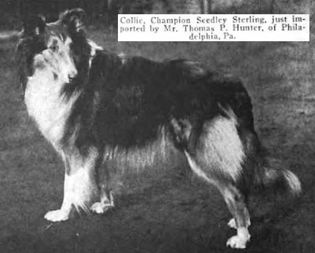 Seedley Sterling